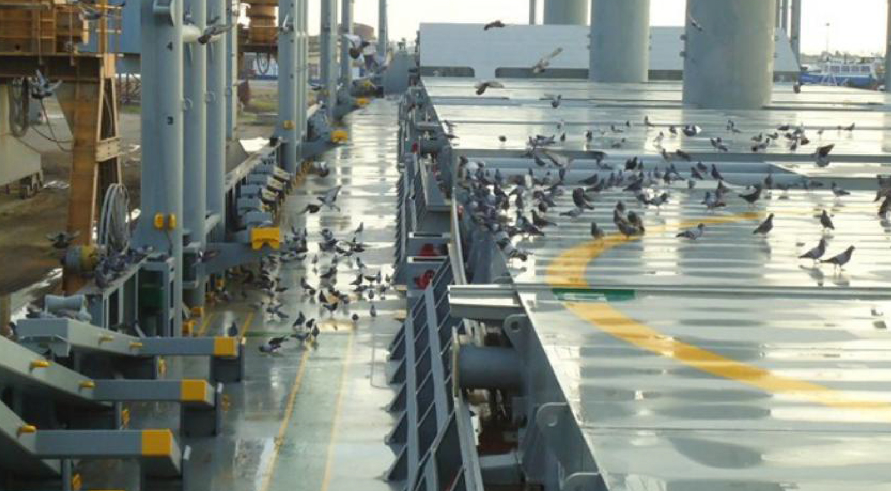 昌華勞務海員招工啦！